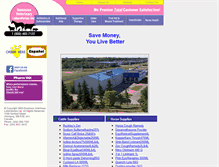 Tablet Screenshot of domvet.com